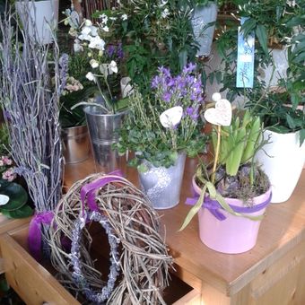 Ihr Blumen-Fachgeschäft aus der Region - La Provence aus Aachen