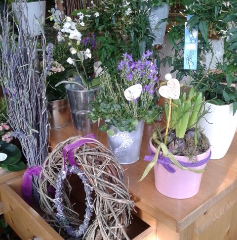 Ihr Blumen-Fachgeschäft aus der Region - La Provence aus Aachen