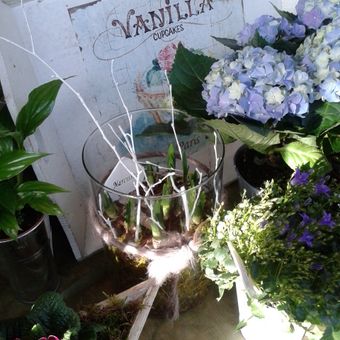 Ihr Blumen-Fachgeschäft aus der Region - La Provence aus Aachen